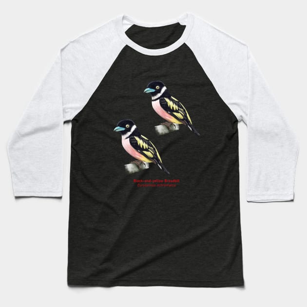 Black-and-yellow Broadbill | Eurylaimus ochromalus ⚥ Baseball T-Shirt by bona 